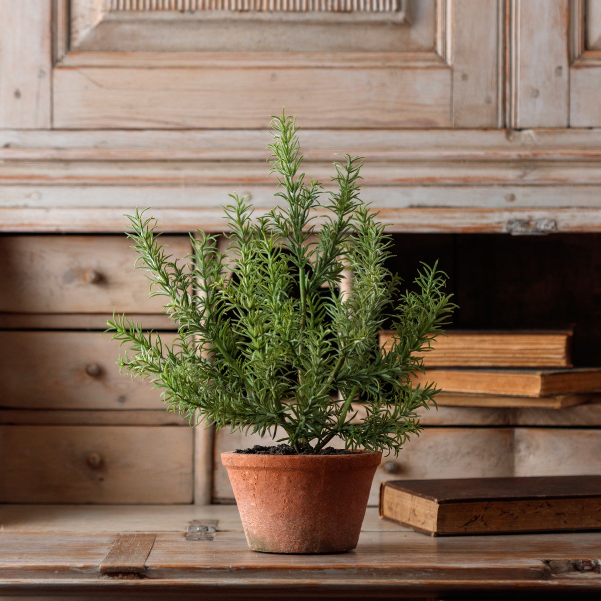 Faux Potted Rosemary