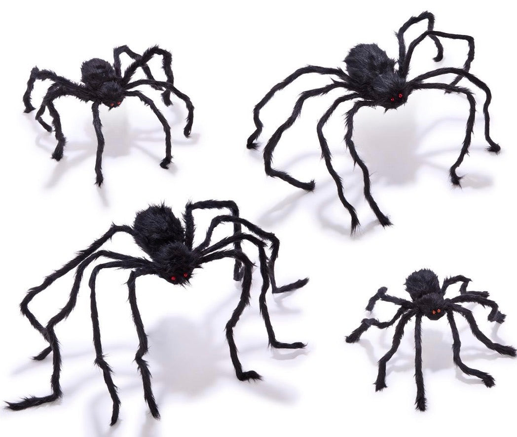 Furry Tarantula Spiders