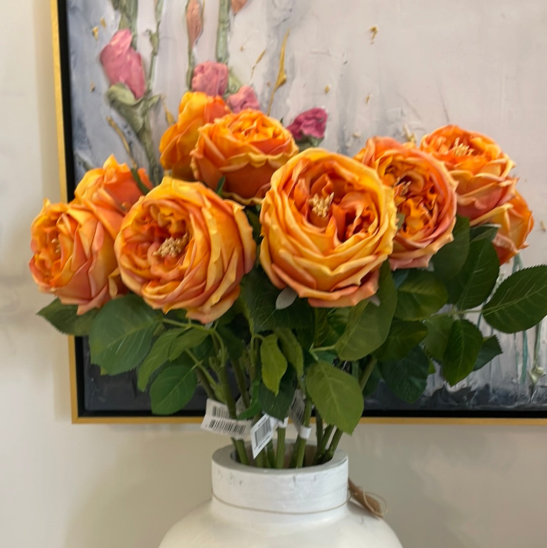 Austin Orange Rose Stem