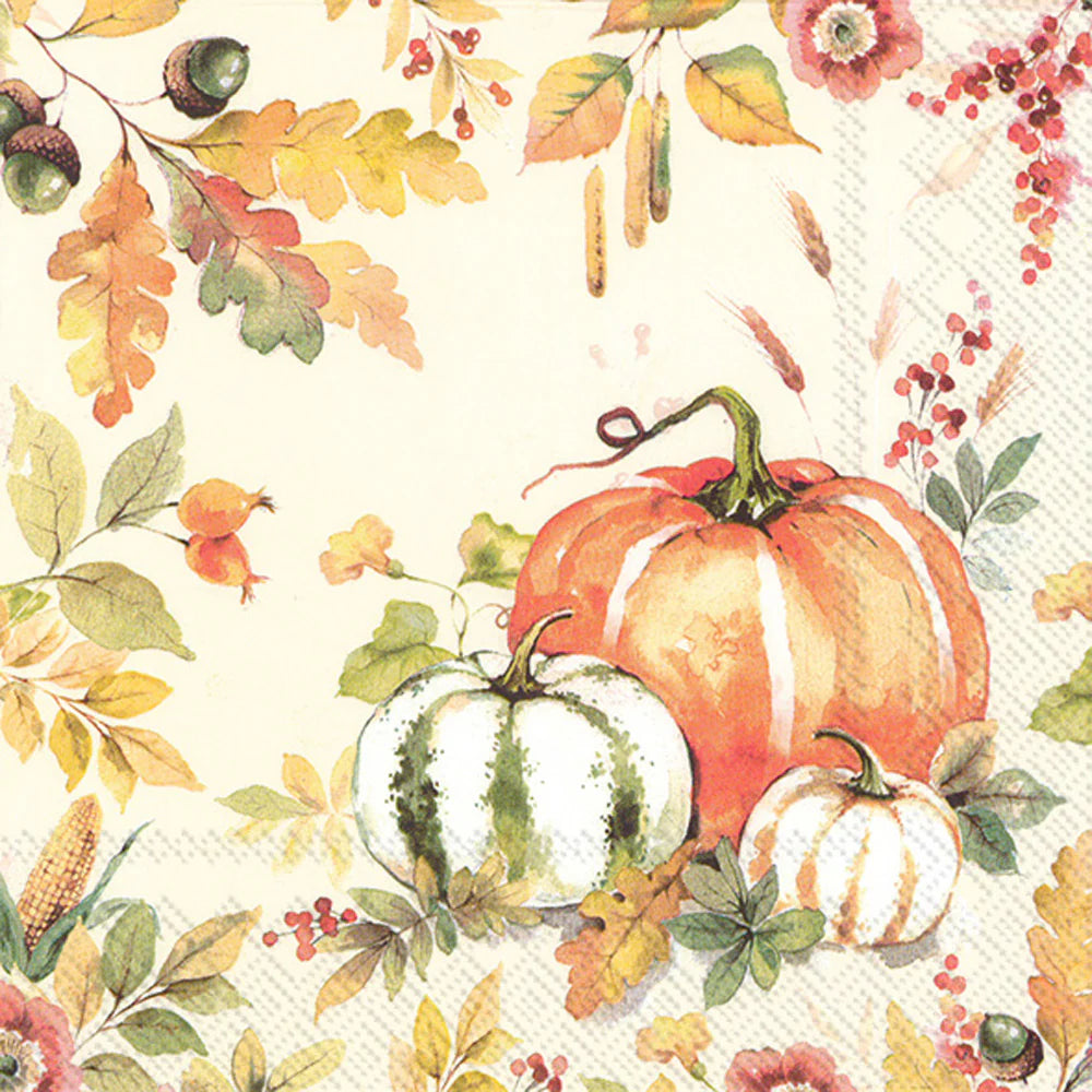 Lunch Pumpkin Love Cream