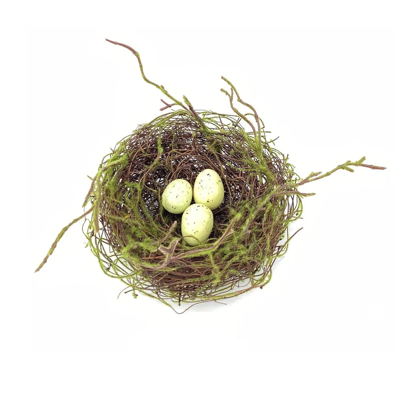Nest with Eggs