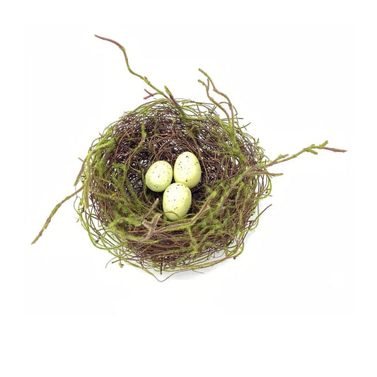 Nest with Eggs