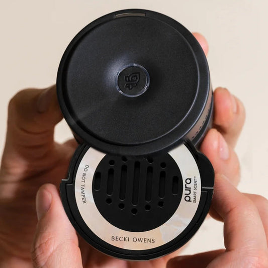 Coconut Calm Pura Car Refill