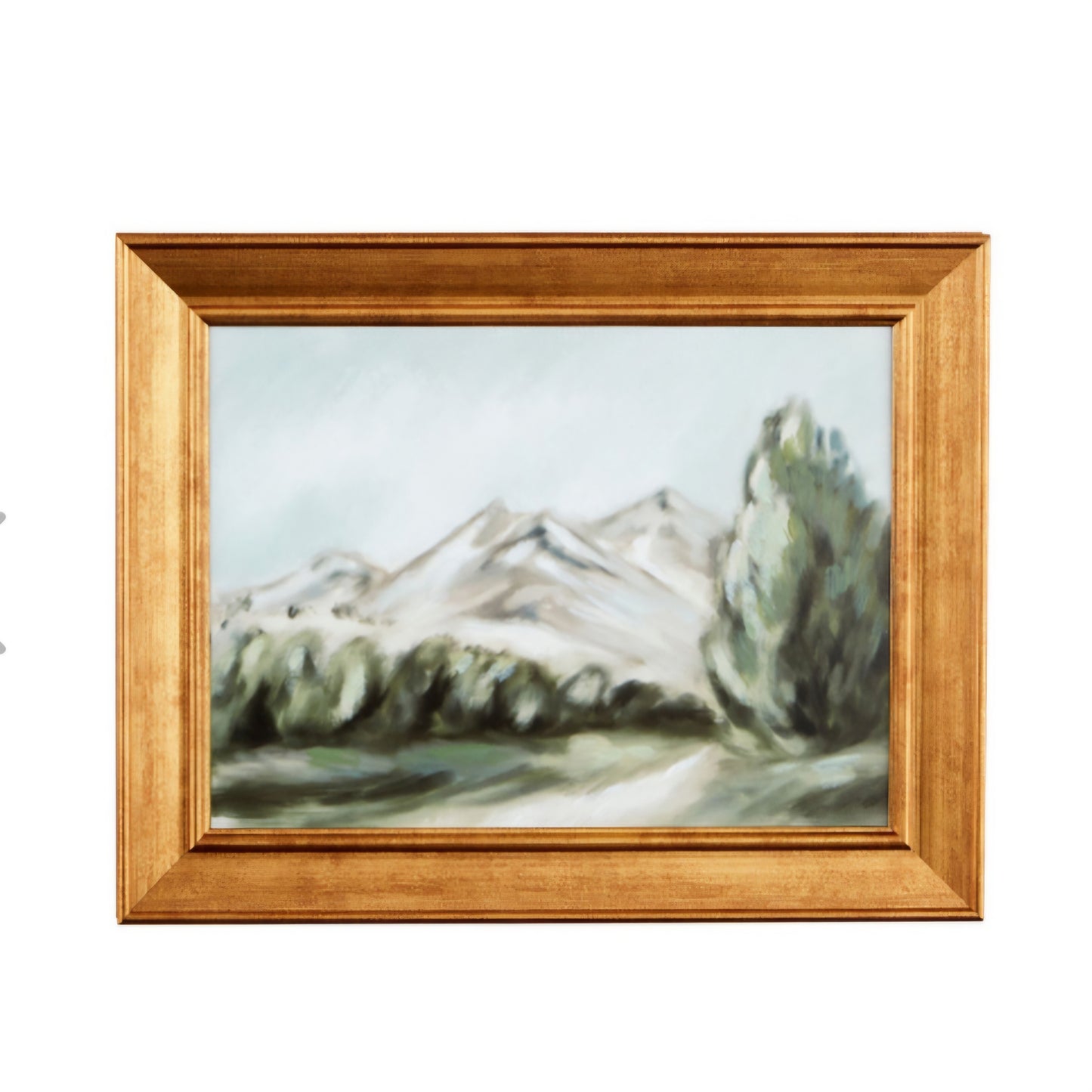 Mountain Landscape Framed Canvas