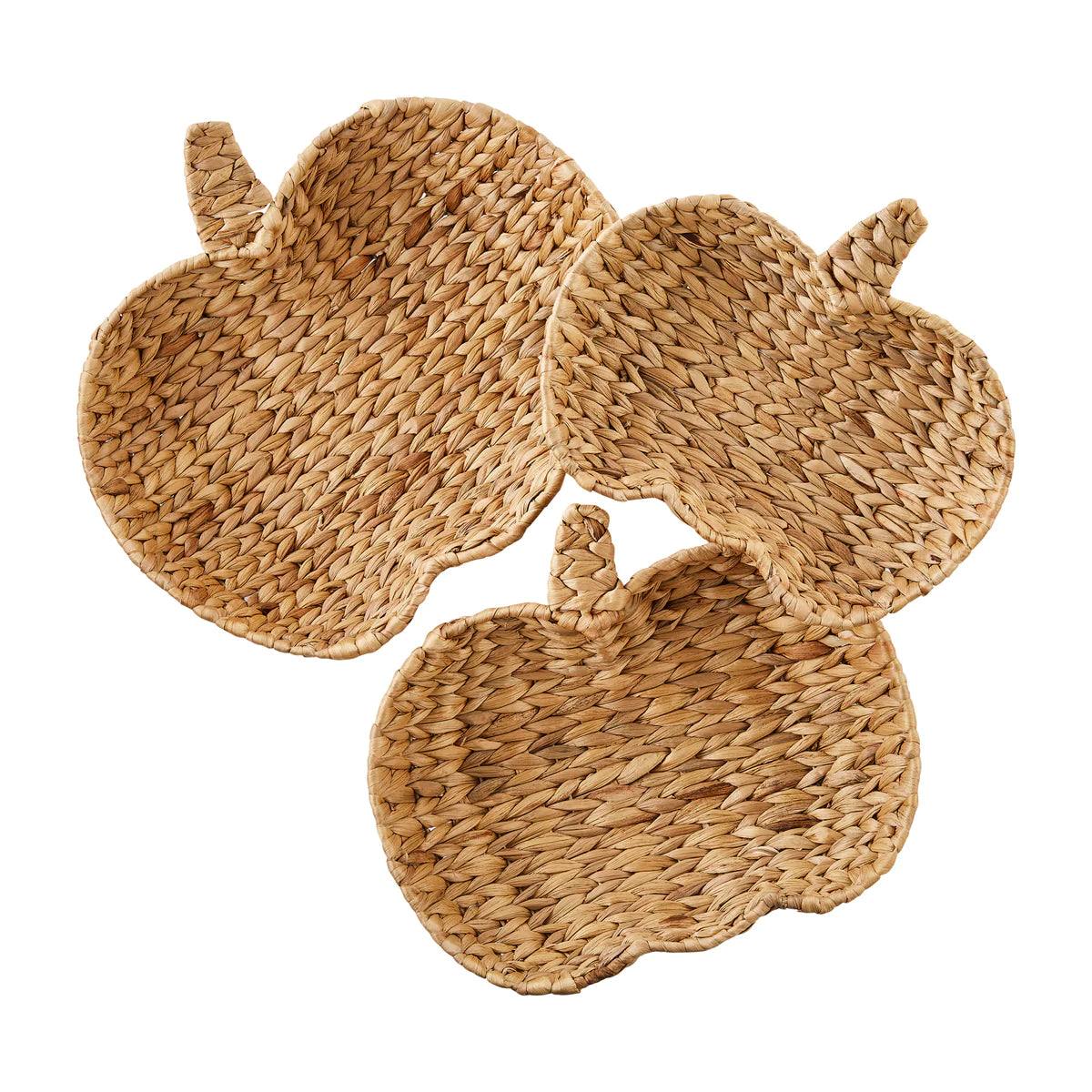 Pumpkin Hyacinth Trays