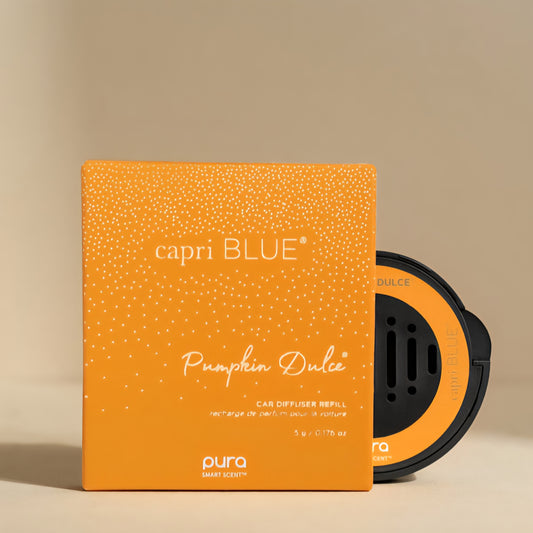 Pumpkin Dulce Pura Car Refill