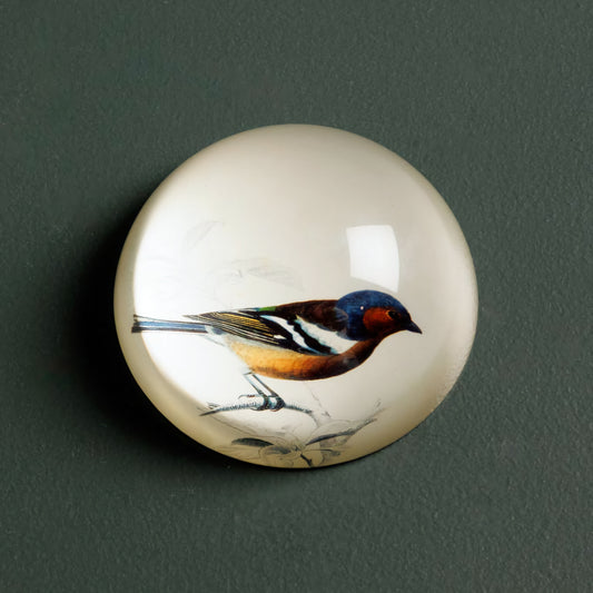 Birdy Paperweight