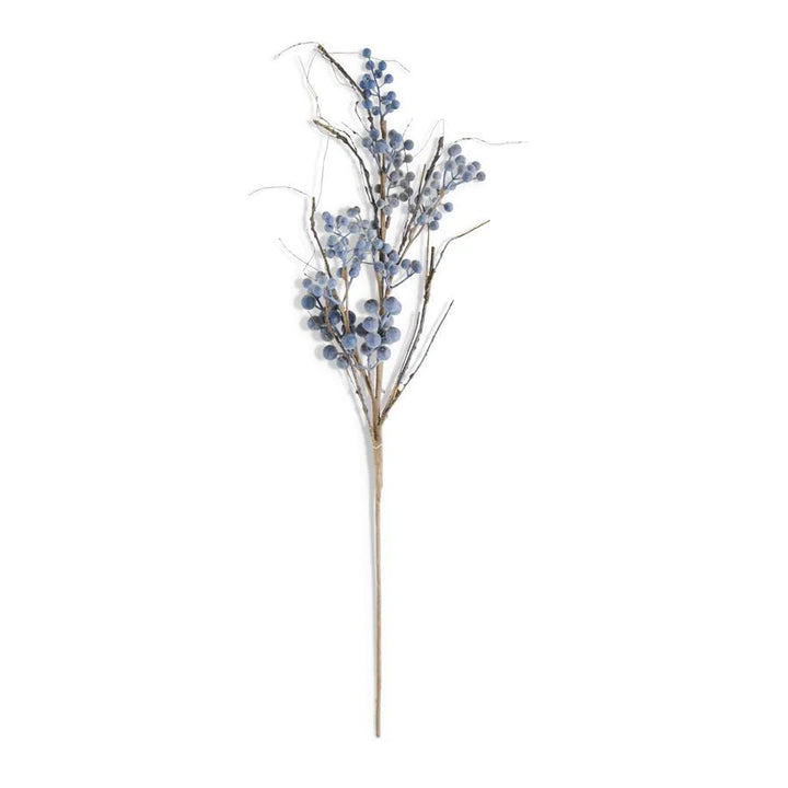 32" Powdered Concord Grape Branch