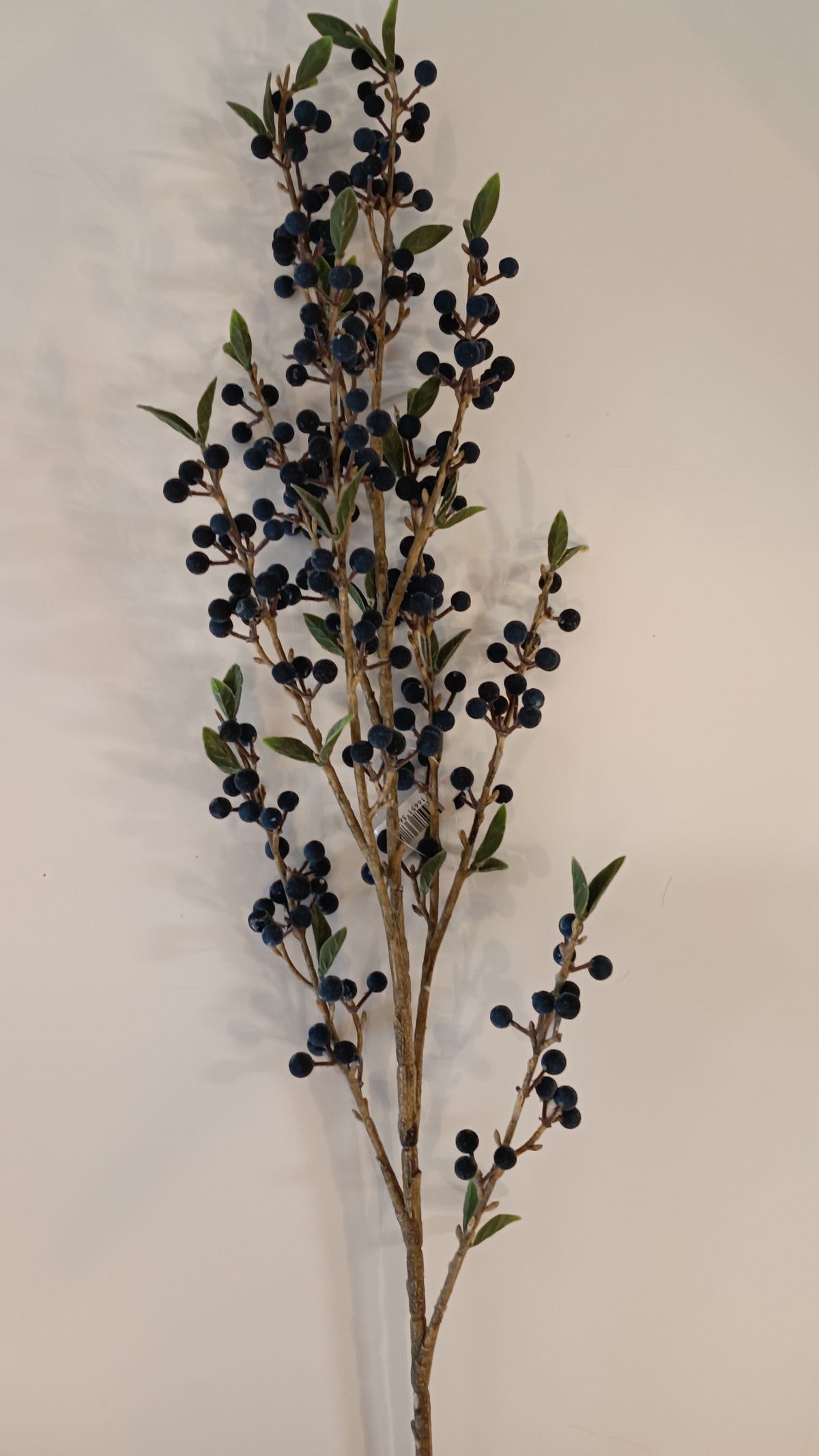 Iced Berry Spray Blue