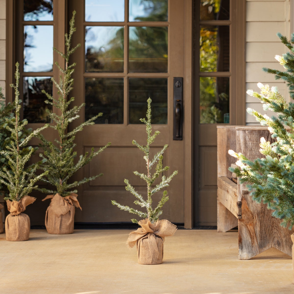 Iced Alpine tree, small