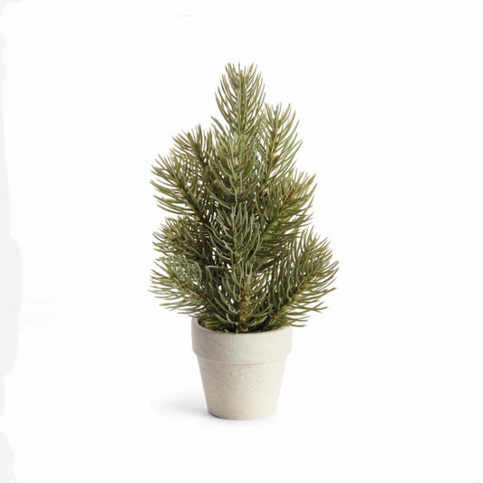 Mini Potted Pine Tree