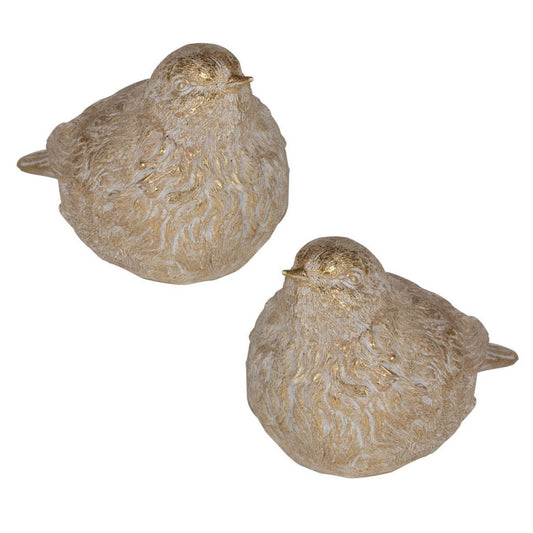 Golden Warbler Accents