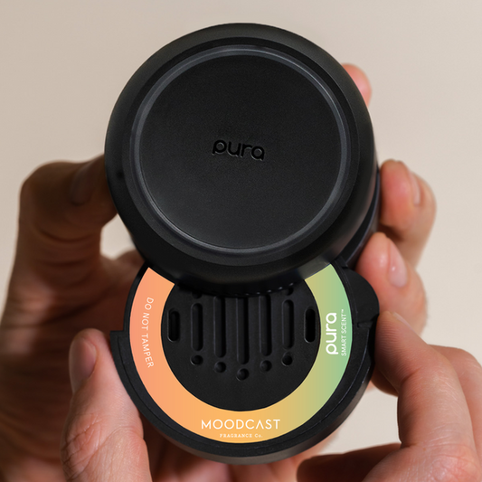 Beach Vacay Pura Car Refill