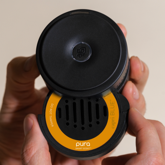 Pumpkin Dulce Pura Car Refill