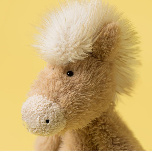 Canterneigh Pony
