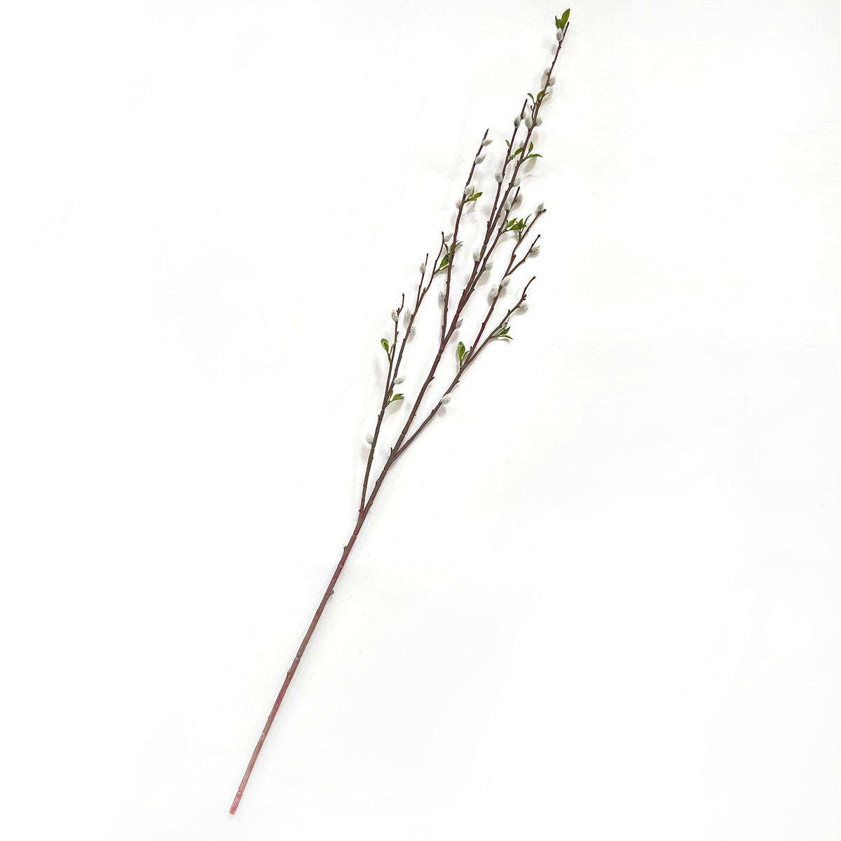 French Willow Stem