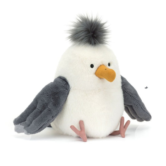 Chip Seagull