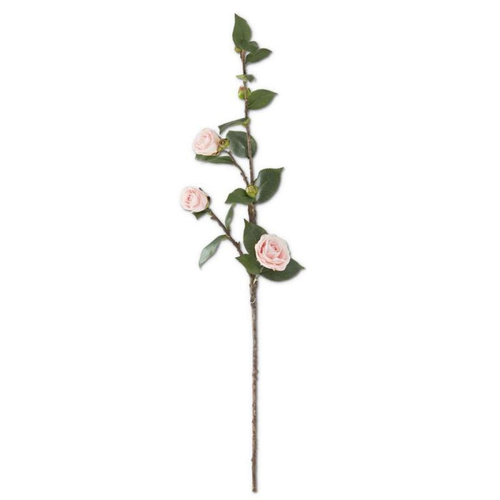 Pink Camelias Stem
