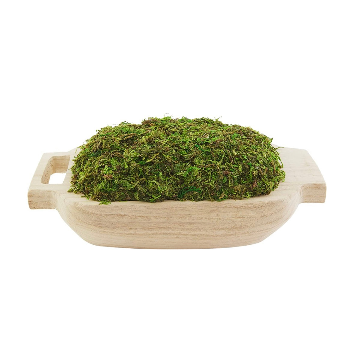 Preserved Moss Decor