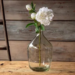 Exhibition Peony Whisper