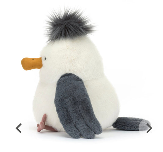 Chip Seagull