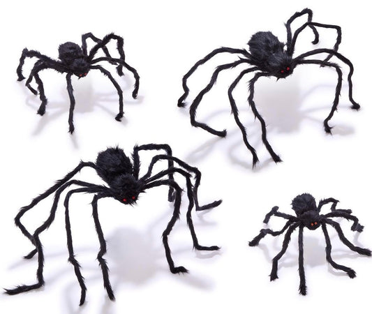 Furry Tarantula Spiders