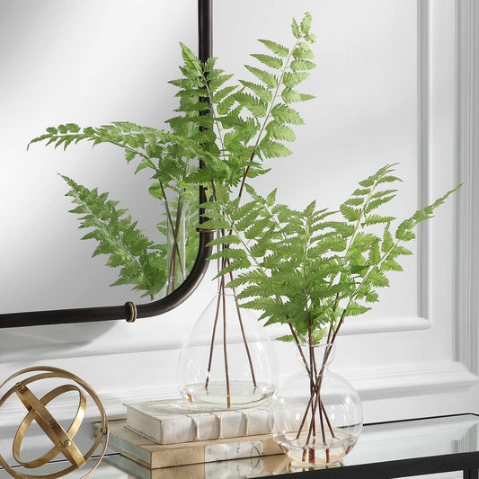 Country Fern