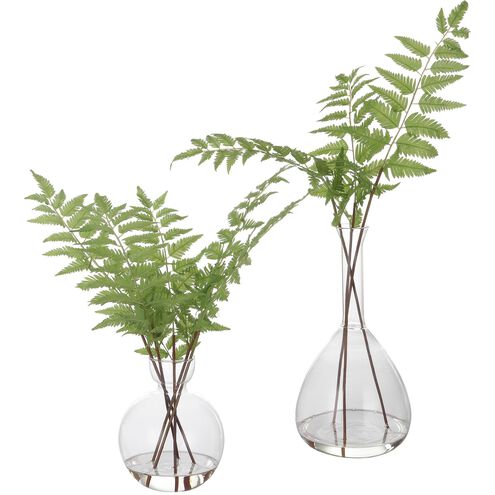 Country Fern