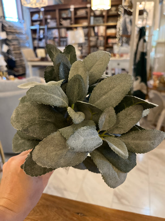 Dark Green Lambs Ear Bundle