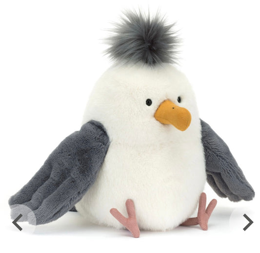Chip Seagull