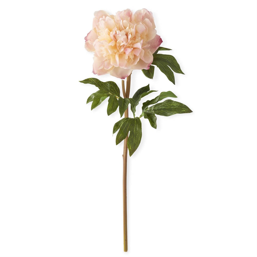 Coral Charm Real Touch Peony Stem