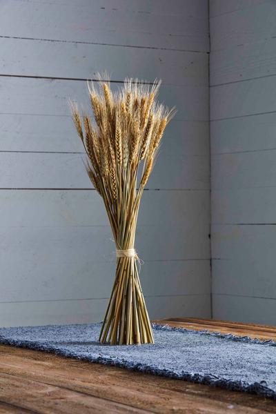 Preserved Tall Wheat Bundle