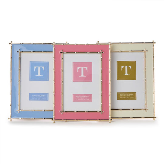 Gold Bamboo Edge Metal Frame assorted colors