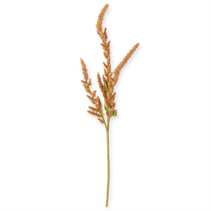 Mustard Amaranthus Stem