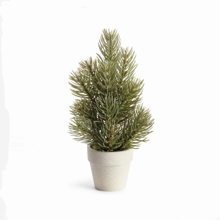Mini Potted Pine Tree