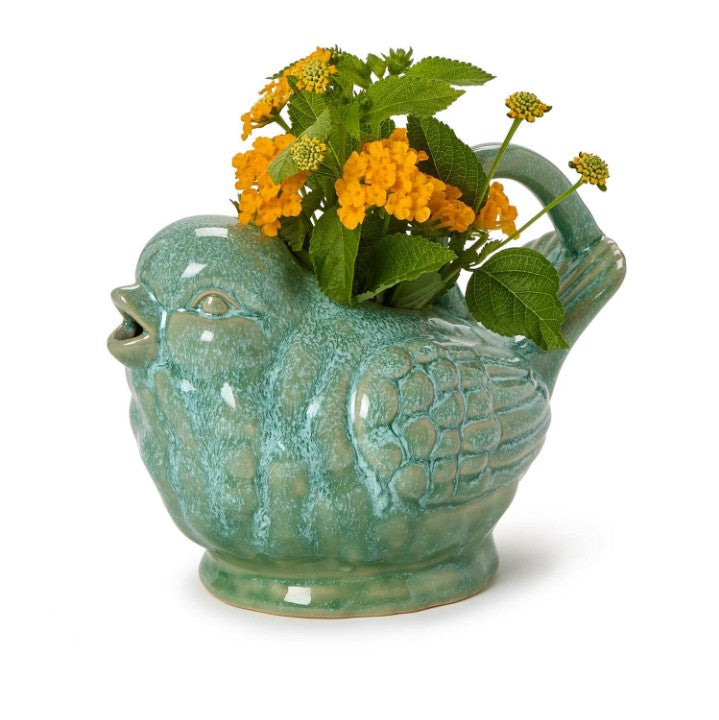 Bird Pitcher