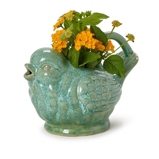 Bird Pitcher