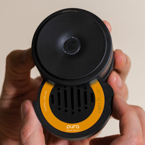 Pumpkin Dulce Pura Car Refill