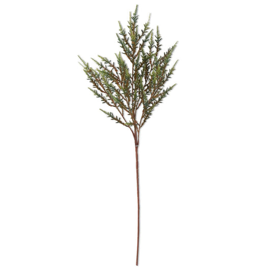 26 inch Green Astilbe Stem