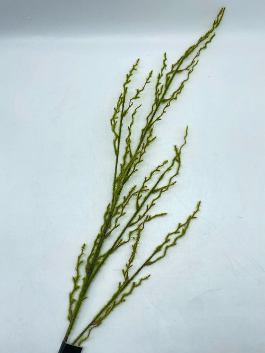 Mossy Twig Branch