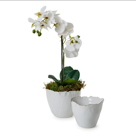 White Free Form Planter
