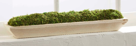 Preserved Moss Tray