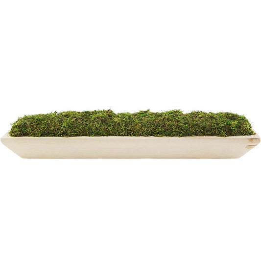 Preserved Moss Tray