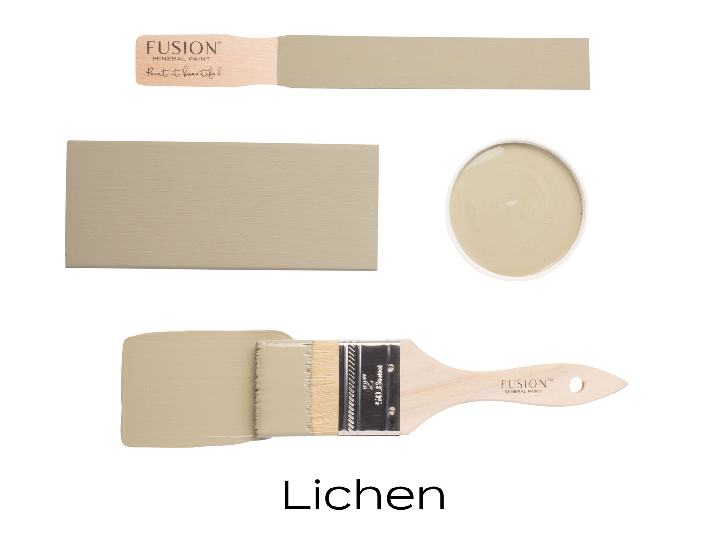 Lichen by Fusion